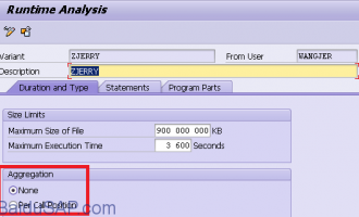 SAT实例分析函数CRM_IBASE_GET_DETAIL性能