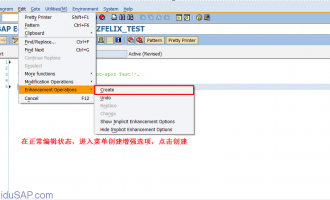 SAP中Enhancement spot增强教程