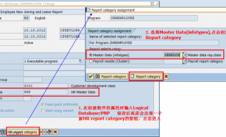 使用逻辑数据库PNP开发HR报表