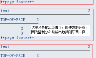 [list报表开发]-如何强制分页-[NEW-PAGE]