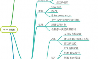 ABAP-进阶学习路线