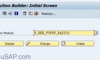 在弹出窗口中创建radio button(K_KKB_POPUP_RADIO2)