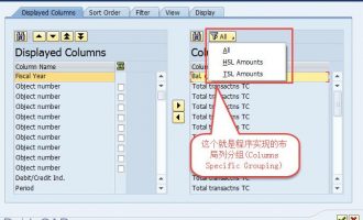 SALV教程17-布局列分组(Columns Specific Grouping)