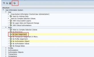 如何查找用户下是否有某个权限对象(authorization object)-SUIM