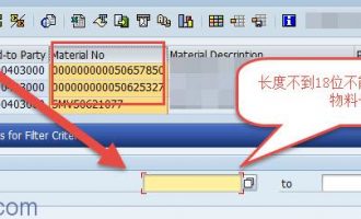 ALV过滤器(filter)中的字段长度不匹配