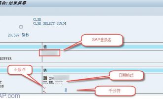 取得用户参数文件(CLSE_SELECT_USR01)