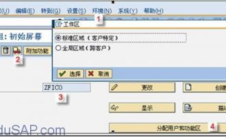 SAP Query 操作教程