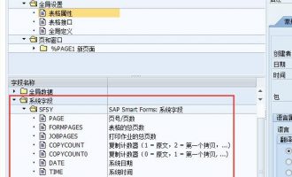 Smartforms中系统变量显示格式选项小结