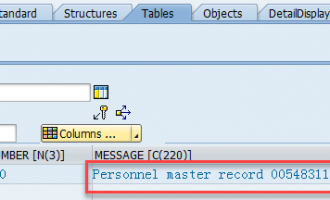 [问题解决]Personnel master record xxxx not found (check entry)