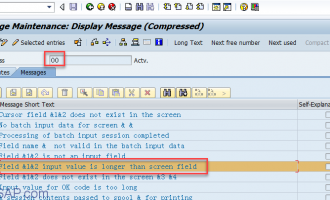 [问题解决]Field XXXX input value is longer than screen field-BDC