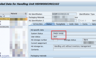 如何读取包装单元(handling units)的状态[HUSSTAT]