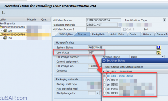 修改包装单元(handling unit)用户状态[HU_STATUS_UPDATE]