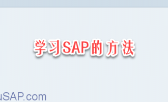 学习SAP的方法