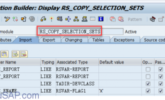 Copy复制报表的变式(Variants)[RS_COPY_SELECTION_SETS]