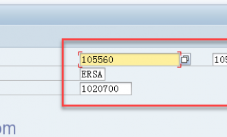 如何取得选择画面字段中的输入值[RS_REFRESH_FROM_SELECTOPTIONS]