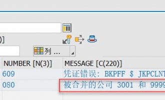 [问题解决]调用BAPI_ACC_DOCUMENT_POST时报错“被合并的公司 XXXX 和 XXXX 是不同的”