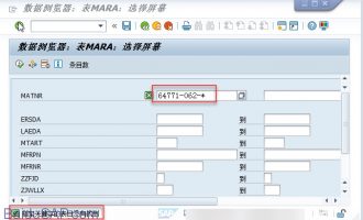 物料外部编码的模糊查询-MGV_SELOP_AFTER_START_OF_SEL