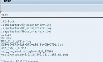 [函数]查询sap服务器文件夹下所有文件-EPS2_GET_DIRECTORY_LISTING