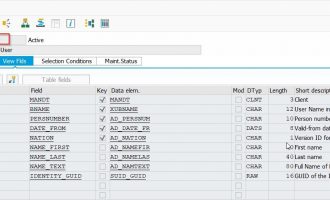 通过view USER_ADDRP 根据SAP用户ID读取姓名