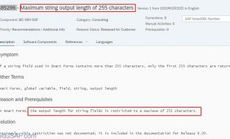 [问题解决]Smartforms字符串最长限制255解决方案